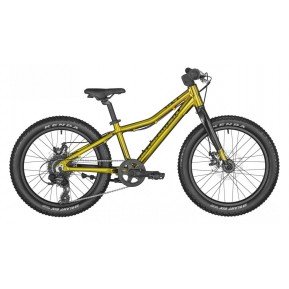 Дитячий байк 20" Bergamont  Bergamonster 20 Plus Boy (286849-180) 26см - 2022 Фото №1