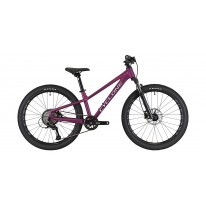 Велосипед 24" Cyclone  DREAM фіолетовий 2026