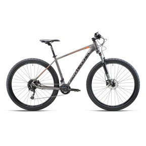 Велосипед горный 29" Bottecchia 125 MTB ALIVIO DK 18S anthracite 2026 Фото №1