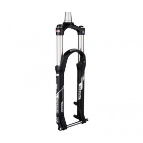 Вилка  Suntour RAIDON32 Boost RLR 120 15QLC32-110 29 CTS Фото №1