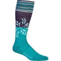 Шкарпетки Icebreaker City Lite OTC Burst WMN lotus/mermaid/teardrop S
