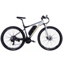 Электровелосипед 29" AL Formula eF-1 DD CS  48В 12.5Ah 500W silver-black (2026) 