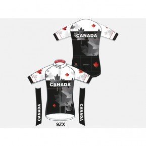 Велофутболка GARNEAU CANADA JERSEY 9ZX GREY L Фото №1