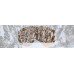 Маска JULBO 755 12 199 VENTILATE PINK/GREY CAT 2 Фото № 2