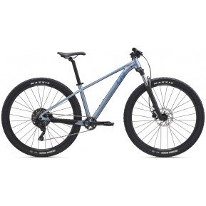 Велосипед 29" Liv Tempt 2 silver frost M 2026 Фото №1