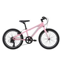 Велосипед 20" Reid  Viper Hot Pink - 2021