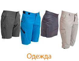 Одежда